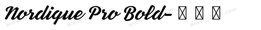 Nordique Pro Bold字体转换